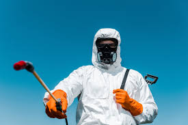 Best Lawn Pest Control  in Home Gardens, CA